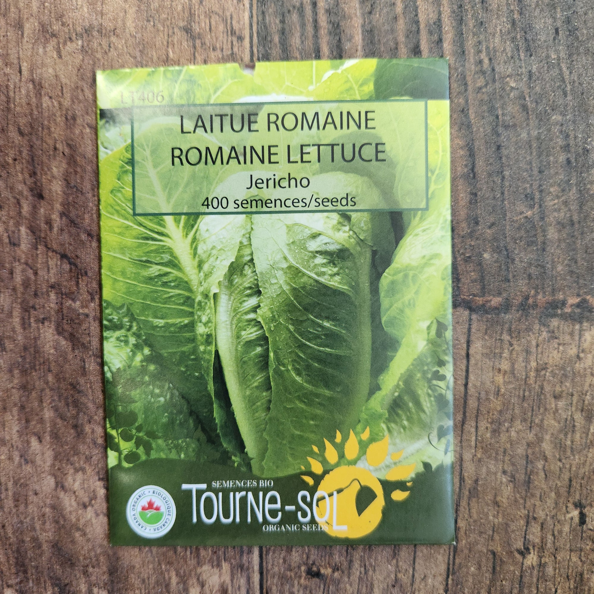 Laitue romaine ‘Jericho’ (<em>Lactuca sativa var. longifolia</em>)