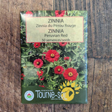 Zinnia 'Peruvian Red' bio