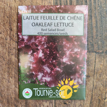 Organic Oak Leaf Lettuce 'Red Salad Bowl'