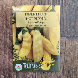 Organic 'Lemon Drop' hot pepper