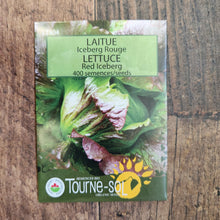 Organic red iceberg lettuce