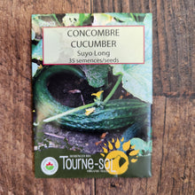 Organic 'Suyo Long' Cucumber