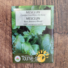 Organic 'Basic Cruciferous Combo' Mesclun