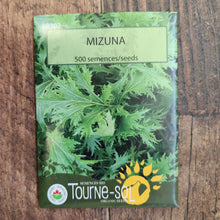 Mizuna organic