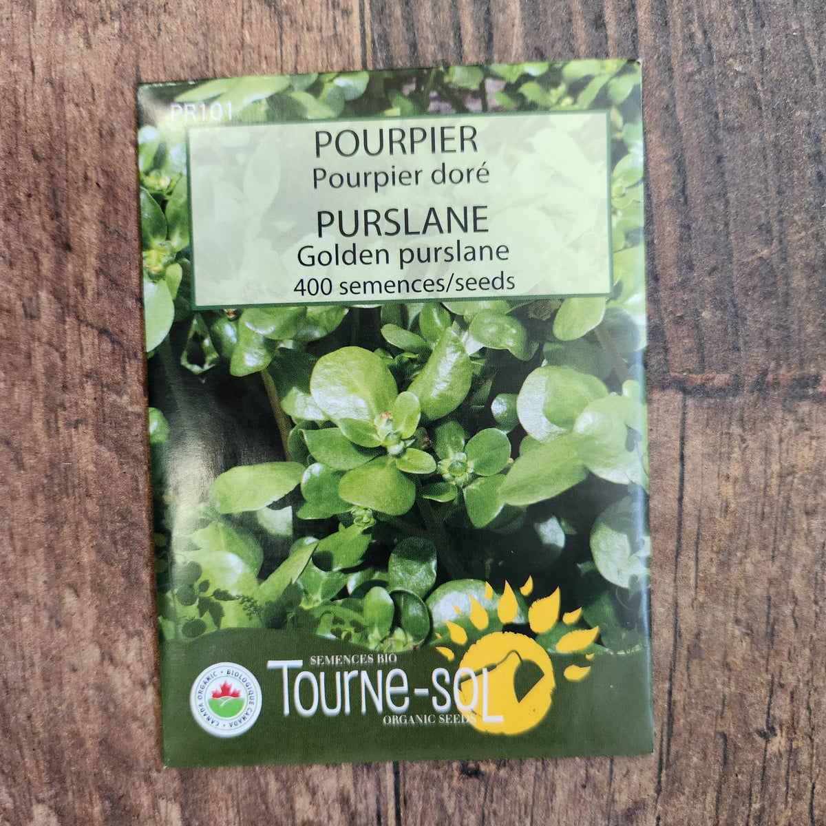Pourpier doré bio