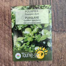 Pourpier doré bio