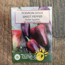 Organic purple 'Sparkle' pepper
