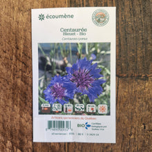 Centaurée bleuet bio