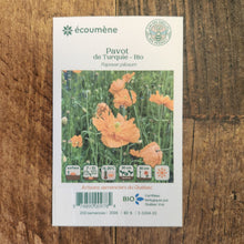 Pavot 'Turquie' bio
