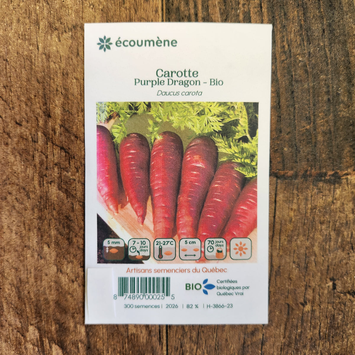 Sachet de semences Carotte Purple Dragon. Emballage blanc photographié de face sur un fond de bois brun. Une image du végétal occupe la partie centrale, sous le nom imprimé. De petits pictogrammes et un code-barres apparaissent au bas du sachet. La marque Écoumène figure dans la partie supérieure de cette présentation.