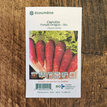 Organic 'Purple Dragon' Carrot