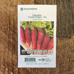 Organic 'Purple Dragon' Carrot