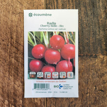 Radis 'Cherry Belle' bio