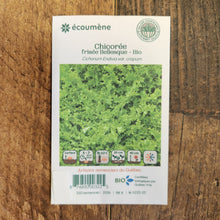 Organic 'Bellesque' curly endive