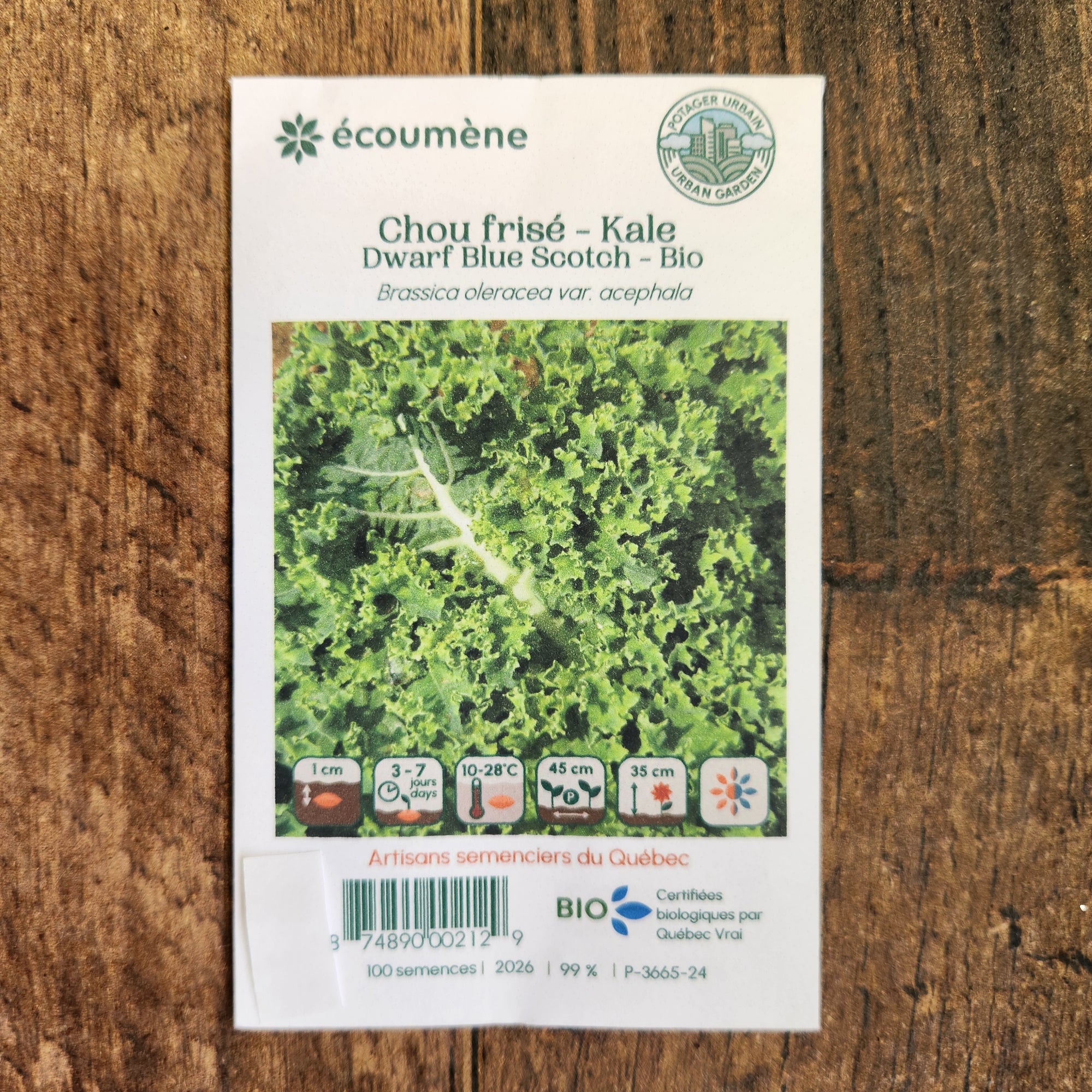 Sachet de semences Chou frisé Dwarf Blue Scotch. Emballage blanc photographié de face sur un fond de bois brun. Une image du végétal occupe la partie centrale, sous le nom imprimé. De petits pictogrammes et un code-barres apparaissent au bas du sachet. La marque Écoumène figure dans la partie supérieure de cette présentation.