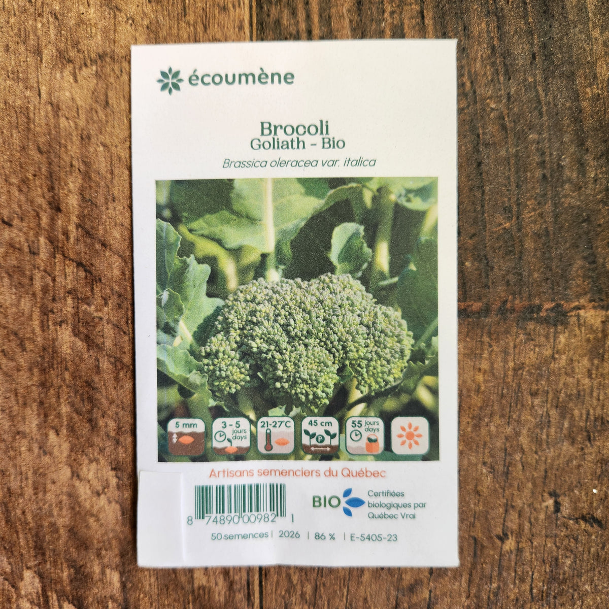 Sachet de semences Brocoli Goliath. Emballage blanc photographié de face sur un fond de bois brun. Une image du végétal occupe la partie centrale, sous le nom imprimé. De petits pictogrammes et un code-barres apparaissent au bas du sachet. La marque Écoumène figure dans la partie supérieure de cette présentation.