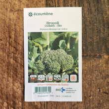Organic 'Goliath' Broccoli