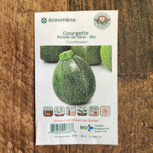 Zucchini 'Ronde de Nice' bio