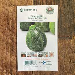 Zucchini 'Ronde de Nice' bio