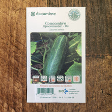 Concombre 'Spacemaster' bio