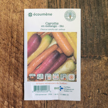 Mélange de carottes bio