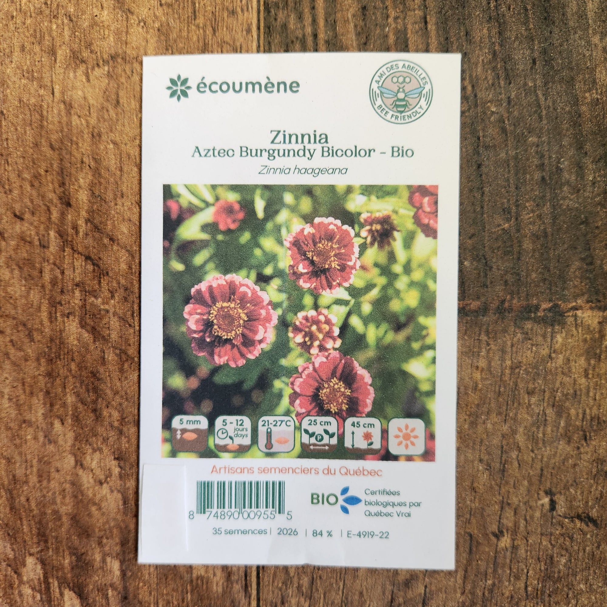 Zinnia 'Aztec Burgundy Bicolor' bio