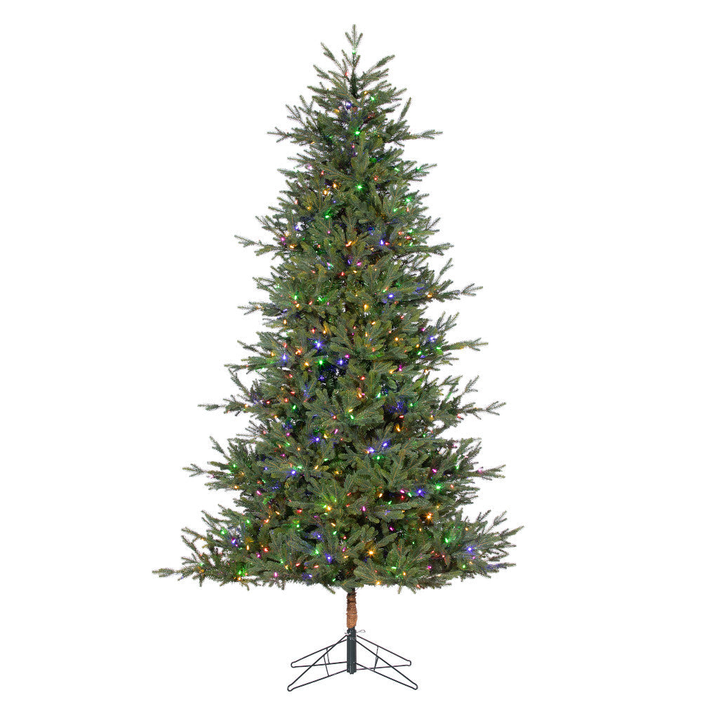Sapin Madrid