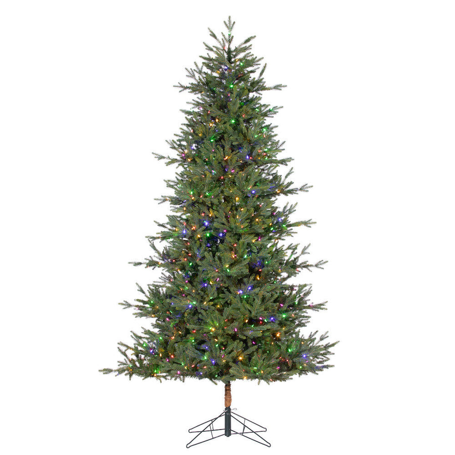 Sapin Madrid