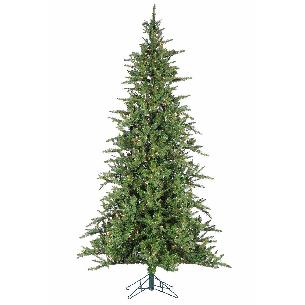 Sapin Brooklyn