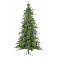 Sapin Brooklyn