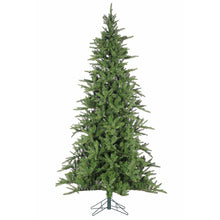 Sapin Brooklyn