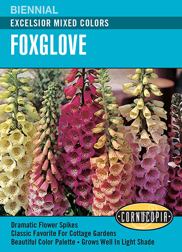 Visuel officiel de Cornucopia associé aux semences de Digitale Excelsior, référence CS207. Ce mélange propose des digitales de différentes couleurs sous le nom Excelsior. Les hampes fleuries apportent une présence verticale aux plantations ornementales. Cette image accompagne la fiche de cette sélection et permet de repérer le produit correspondant dans le catalogue de semences.