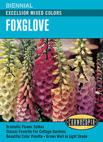 Visuel officiel de Cornucopia associé aux semences de Digitale Excelsior, référence CS207. Ce mélange propose des digitales de différentes couleurs sous le nom Excelsior. Les hampes fleuries apportent une présence verticale aux plantations ornementales. Cette image accompagne la fiche de cette sélection et permet de repérer le produit correspondant dans le catalogue de semences.