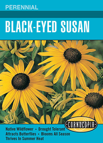 Visuel officiel de Cornucopia associé aux semences de Rudbeckie hérissée, référence CS208. Cette référence propose une rudbeckie commercialisée sous le nom Black-Eyed Susan. Les fleurs à centre foncé apportent une présence estivale aux massifs. Cette image accompagne la fiche de cette sélection et permet de repérer le produit correspondant dans le catalogue de semences.