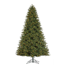 Sapin Manhattan
