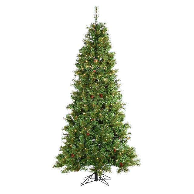 Sapin Barcelona