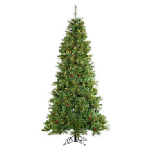 Sapin Barcelona