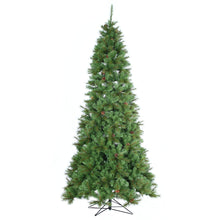 Sapin Barcelona