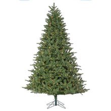 Sapin Athens