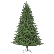 Sapin Athens