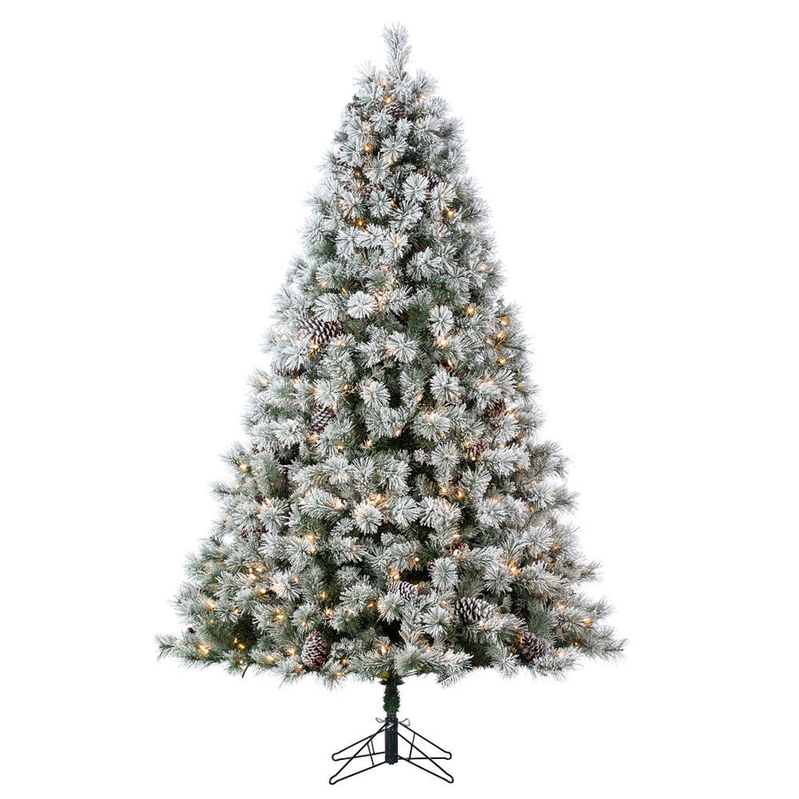 Sapin Whistler
