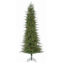 Sapin Paris