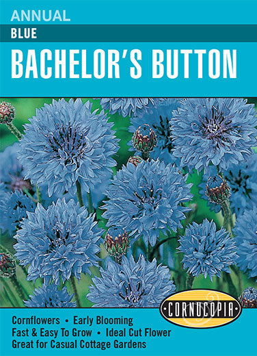 Visuel officiel de Cornucopia associé aux semences de Centaurée bleuet bleue, référence CS209. Cette référence propose une centaurée bleuet à fleurs bleues. Elle permet d’introduire cette couleur dans les plantations saisonnières et les bouquets. Cette image accompagne la fiche de cette sélection et permet de repérer le produit correspondant dans le catalogue de semences.