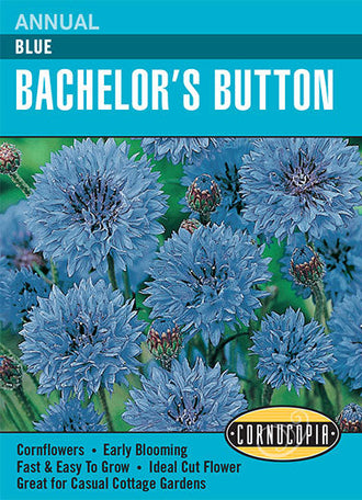 Visuel officiel de Cornucopia associé aux semences de Centaurée bleuet bleue, référence CS209. Cette référence propose une centaurée bleuet à fleurs bleues. Elle permet d’introduire cette couleur dans les plantations saisonnières et les bouquets. Cette image accompagne la fiche de cette sélection et permet de repérer le produit correspondant dans le catalogue de semences.