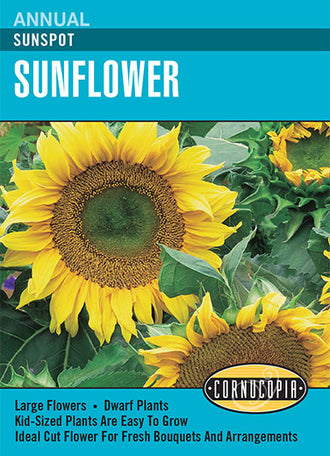Visuel officiel de Cornucopia associé aux semences de Tournesol ‘Sunspot’, référence CS214. Cette référence propose la variété de tournesol Sunspot. Elle se cultive pendant la saison chaude dans un emplacement ensoleillé. Cette image accompagne la fiche de cette sélection et permet de repérer le produit correspondant dans le catalogue de semences.