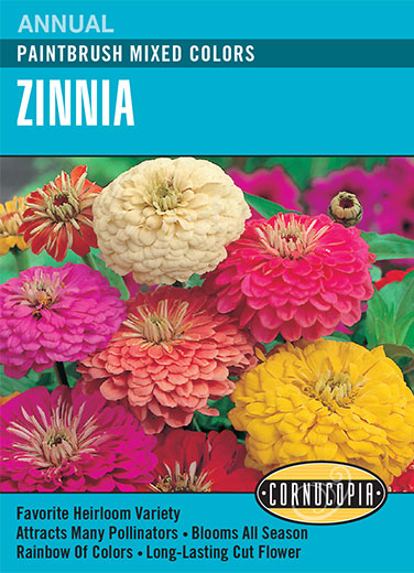 Visuel officiel de Cornucopia associé aux semences de Zinnia Paintbrush, référence CS215. Ce mélange propose des zinnias de différentes couleurs sous le nom Paintbrush. Les fleurs permettent de varier les plantations saisonnières et les bouquets. Cette image accompagne la fiche de cette sélection et permet de repérer le produit correspondant dans le catalogue de semences.