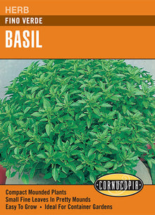 Visuel officiel de Cornucopia associé aux semences de Basilic ‘Fino Verde’, référence CS216. Cette référence propose le basilic Fino Verde. Les feuilles aromatiques se récoltent progressivement pour les préparations culinaires, en pinçant les tiges au-dessus d’une paire de feuilles. Cette image accompagne la fiche de cette sélection et permet de repérer le produit correspondant dans le catalogue de semences.