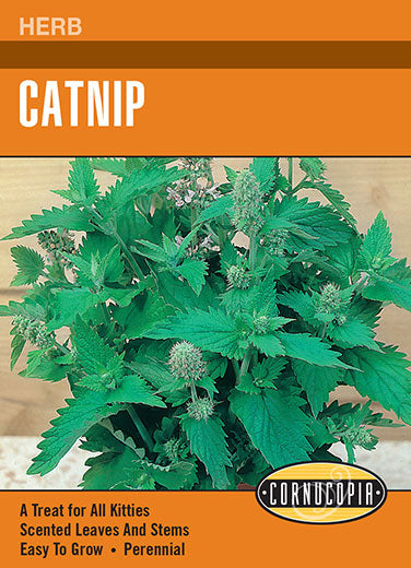 Visuel officiel de Cornucopia associé aux semences de Cataire, référence CS217. Cette référence propose des semences de cataire. La plante aromatique peut être intégrée à un jardin d’herbes, en lui réservant suffisamment d’espace pour former sa touffe. Cette image accompagne la fiche de cette sélection et permet de repérer le produit correspondant dans le catalogue de semences.