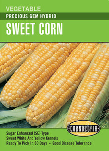 Visuel officiel de Cornucopia associé aux semences de Maïs sucré ‘Precious Gem’, référence CS224. Les épis atteignent environ 23 cm (9 po) et portent des grains jaunes et blancs. Cet hybride de type se est présenté comme une variété de mi-saison. La maturité annoncée est d’environ 80 jours. Cette image accompagne la fiche de cette sélection et permet de repérer le produit correspondant dans le catalogue de semences.