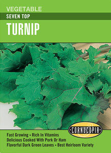 Visuel officiel de Cornucopia associé aux semences de Navet à feuilles ‘Seven Top’, référence CS227. Cette variété est cultivée pour son feuillage vert foncé, destiné aux salades et à la cuisson. Les racines ne constituent pas la récolte recherchée. Le semencier annonce une première récolte de feuilles autour de 45 jours.